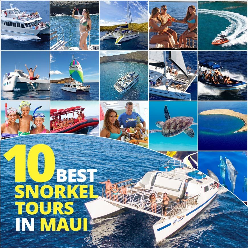 10 best snorkel tours in maui