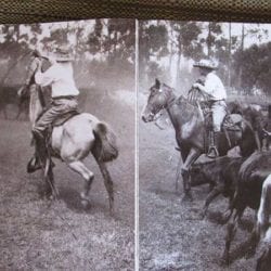 Makawao_Rodeo_History