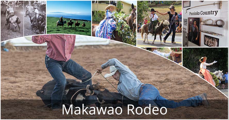 Makawao Rodeo Header Image