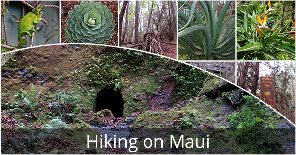 Hiking_On_Maui