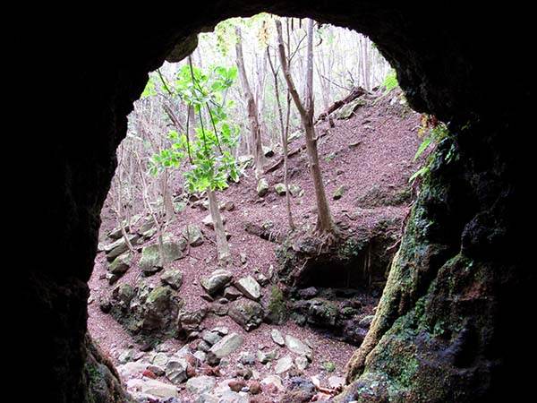 Hiking_On_Maui_Tunnel