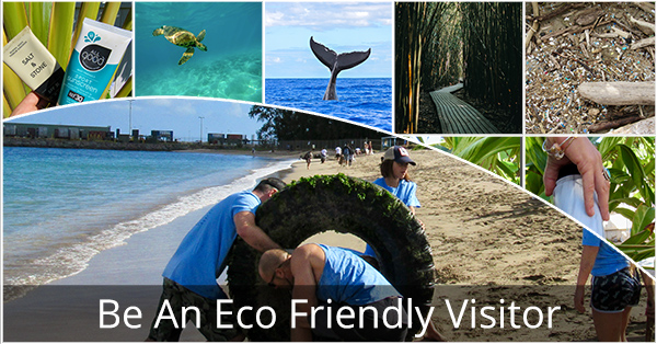 Eco_Friendly_Visitor_Blog